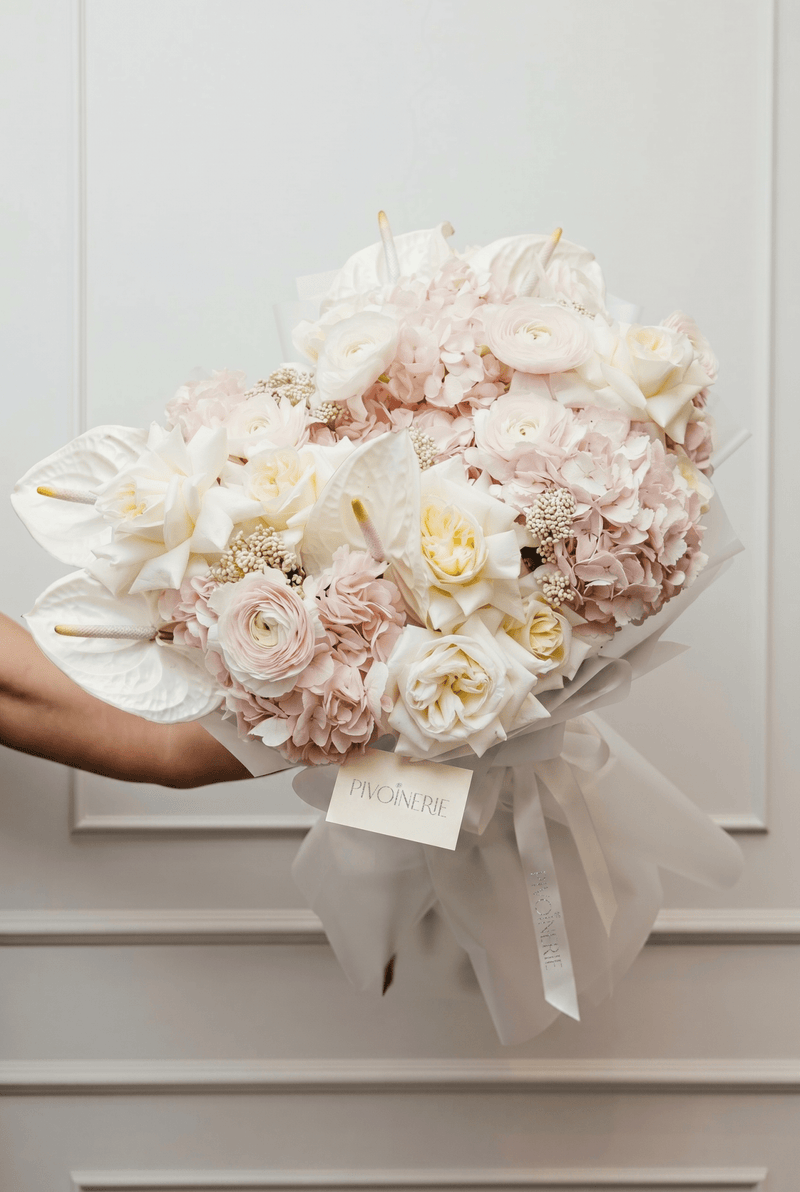 Anthurium Ivory - PIVOINERIE