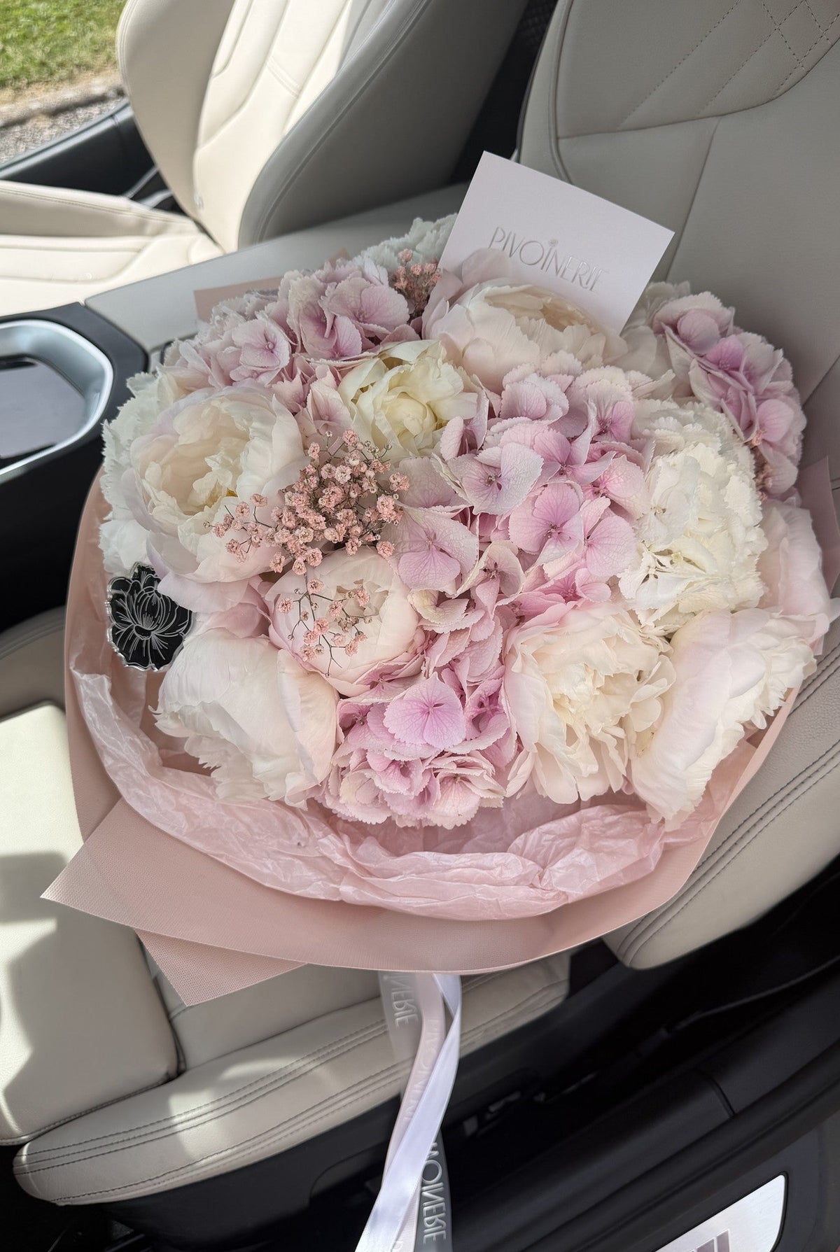 Blush Meringue - PIVOINERIE