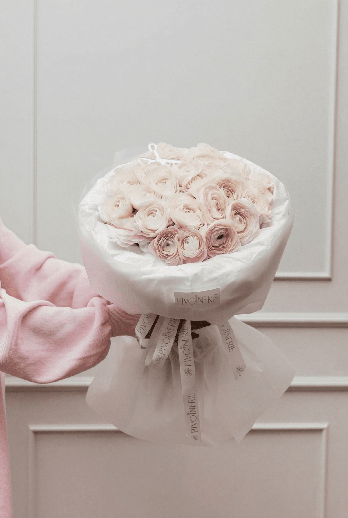 Blush Ranunculus - PIVOINERIE