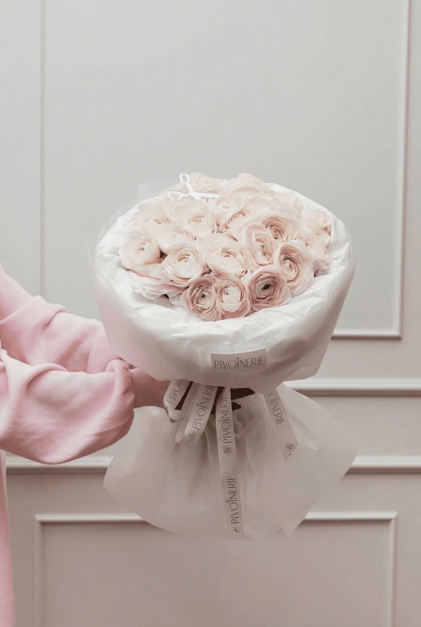 Blush Ranunculus - PIVOINERIE