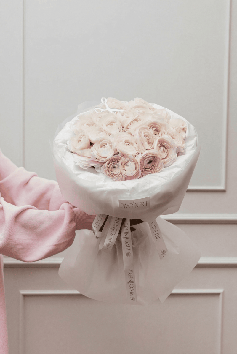 Blush Ranunculus - PIVOINERIE