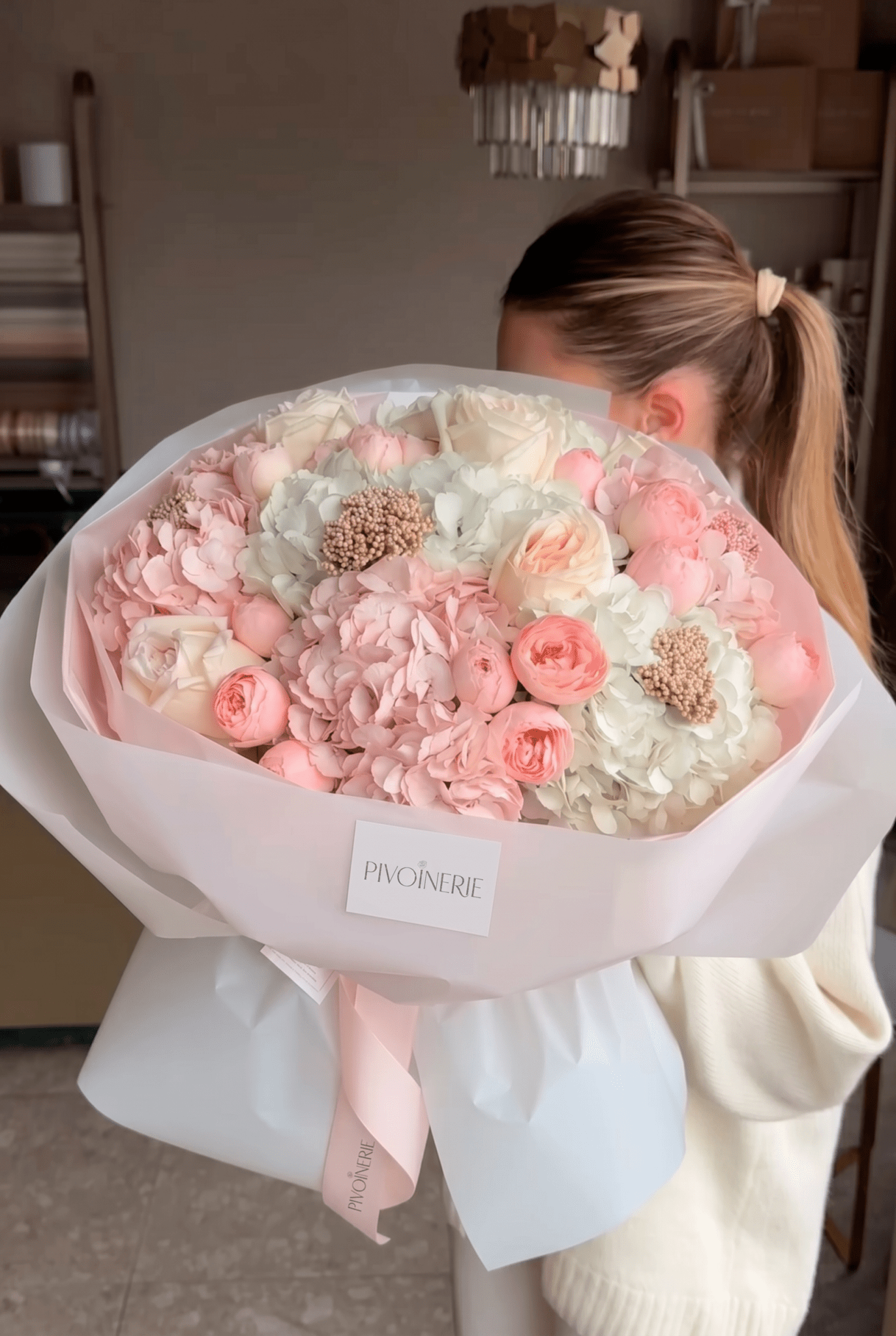 Hydrangea Poudre - PIVOINERIE
