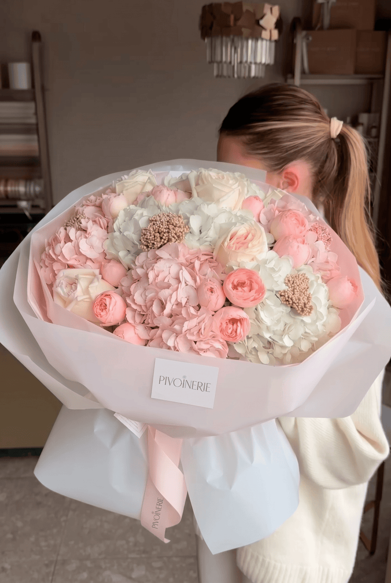 Hydrangea Poudre - PIVOINERIE