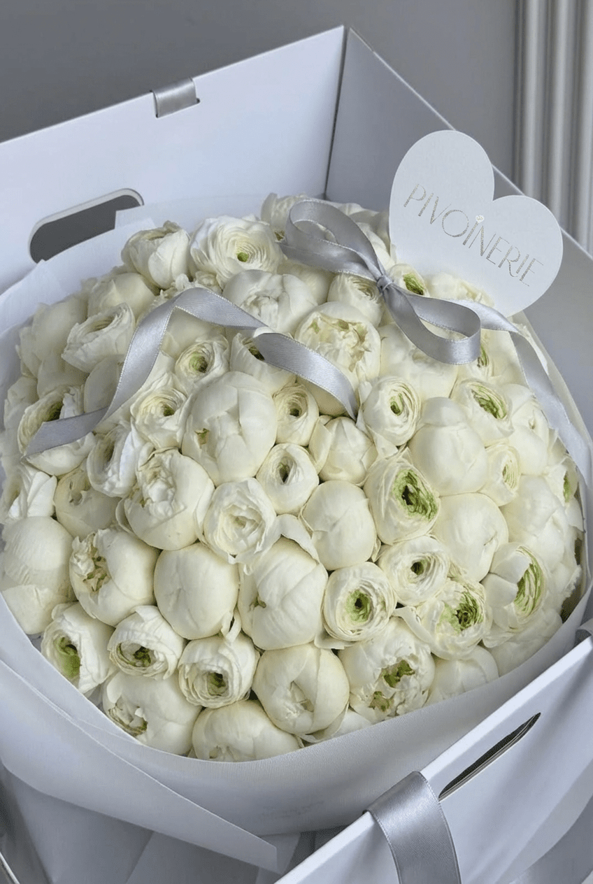 Ivory Ranunculus - PIVOINERIE