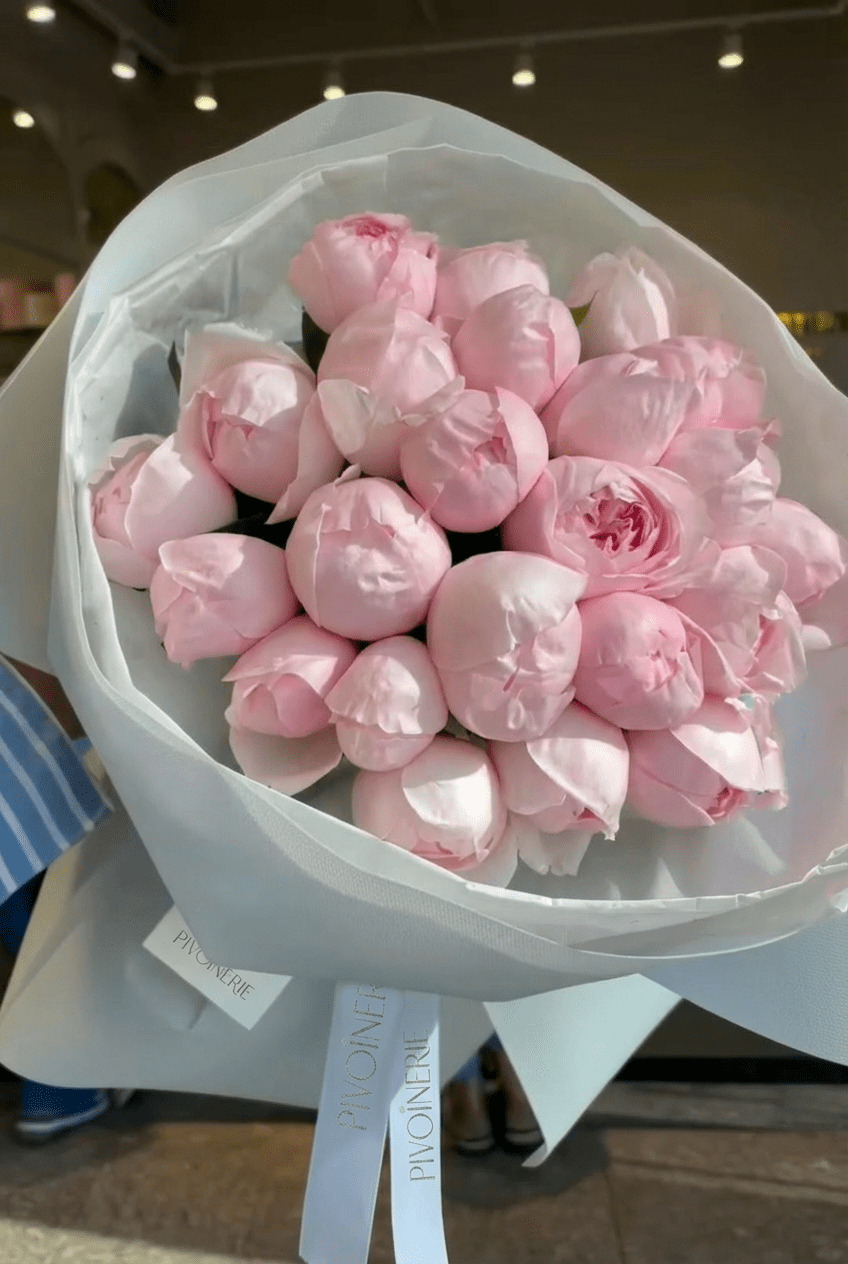 Peony Blush - PIVOINERIE