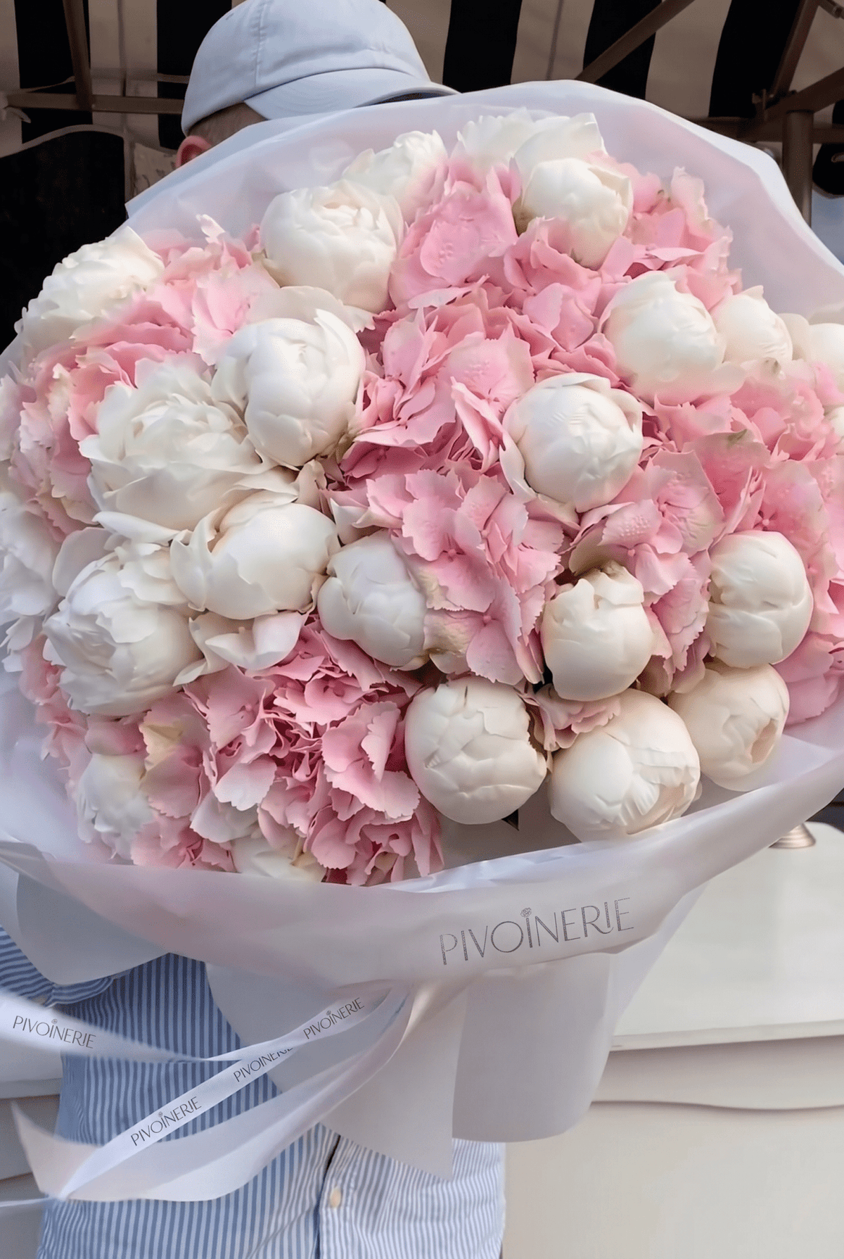 Peony Nuage - PIVOINERIE
